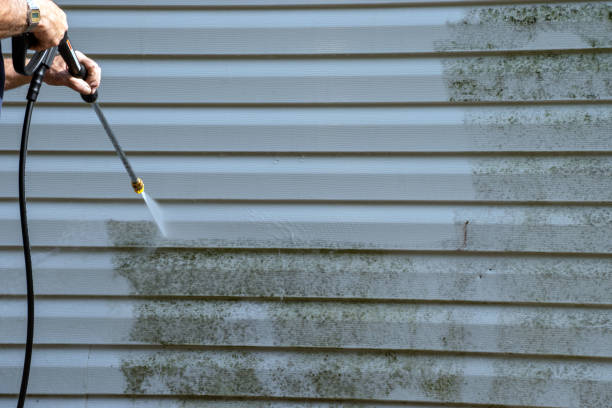 Best Custom Trim and Detailing for Siding  in Wilton, CA