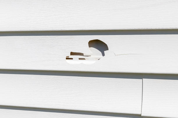 Trusted Wilton, CA Siding Installation & Repair Experts
