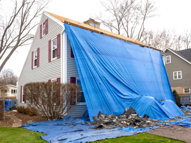 Best Residential Vinyl Siding Installation  in Wilton, CA