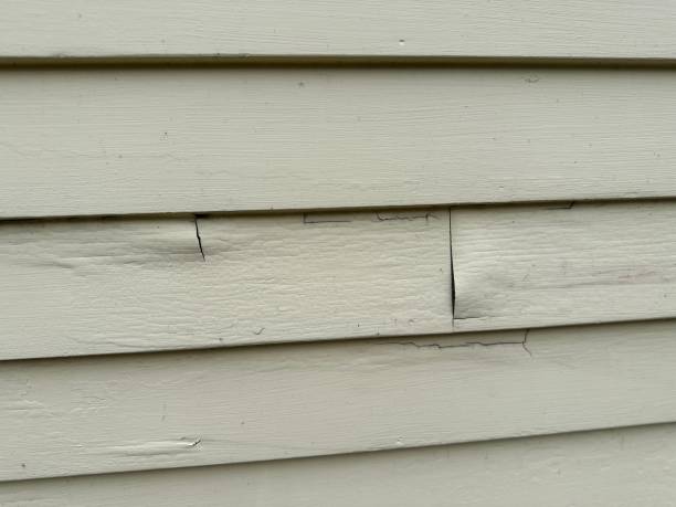 Best Engineered Wood Siding  in Wilton, CA