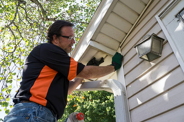 Best Custom Siding Design  in Wilton, CA